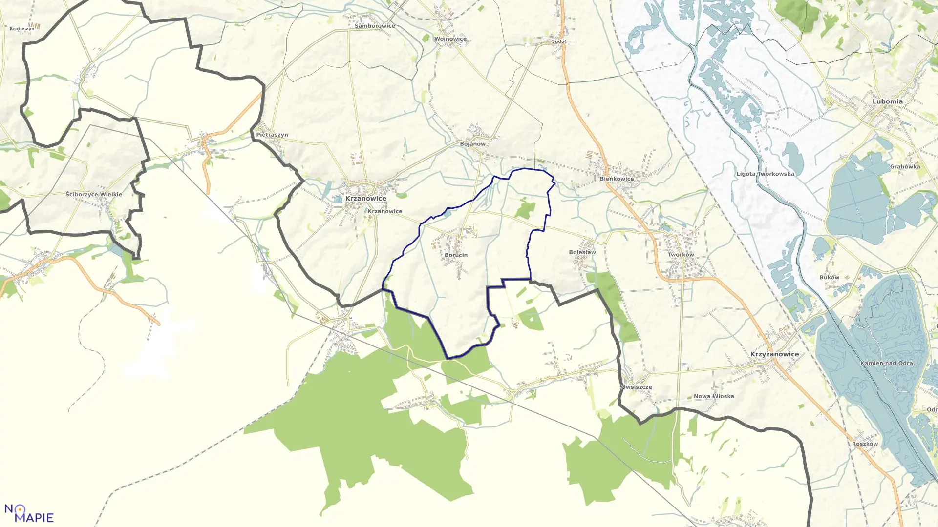 Mapa obrębu BORUCIN w gminie Krzanowice